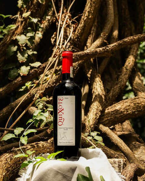 Vino Tinto Quixote | Cabernet Syrah