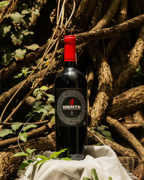 Vino Tinto D'Mente